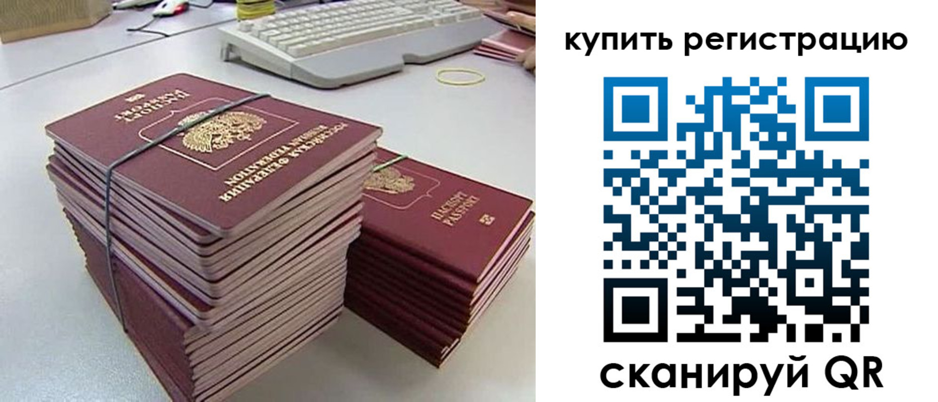 регистрация для школы в Светлогорске